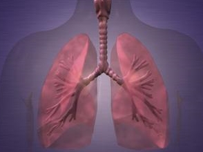 肺部检测的作用